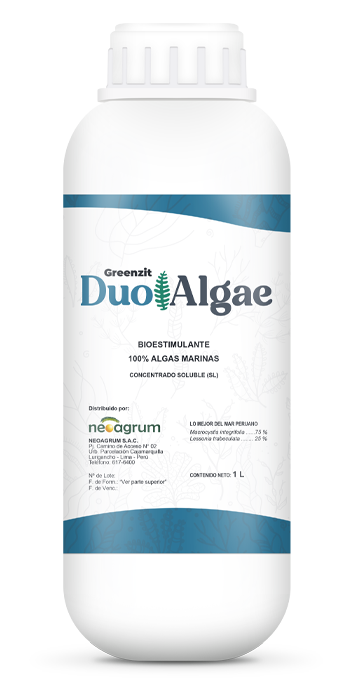 DUO ALGAE