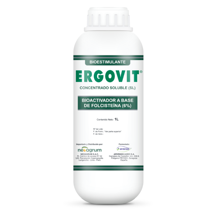 Ergovit