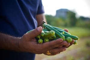 Tips de secado de hortalizas