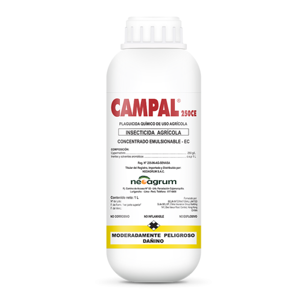 Campal