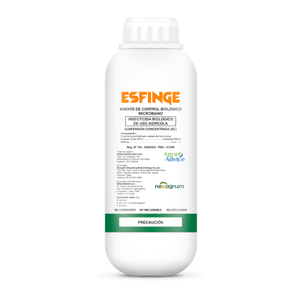 ESFINGE