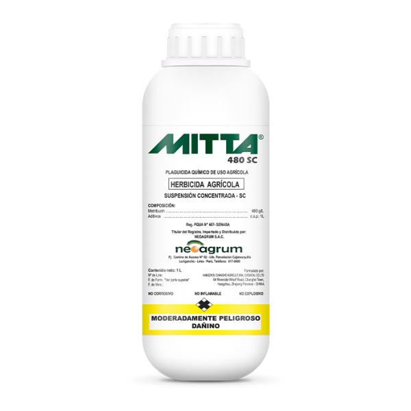 Mitta