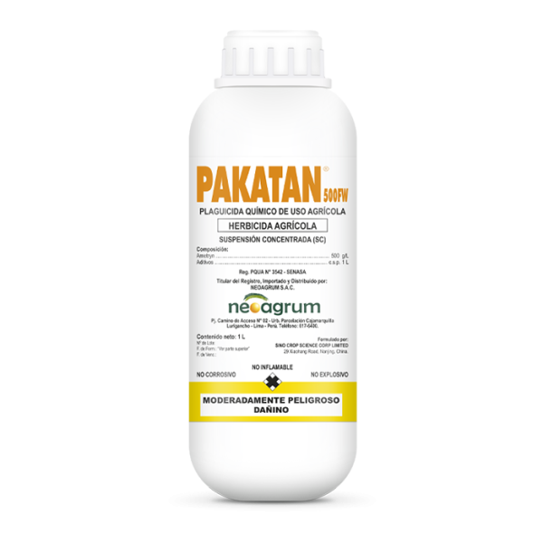 Pakatan