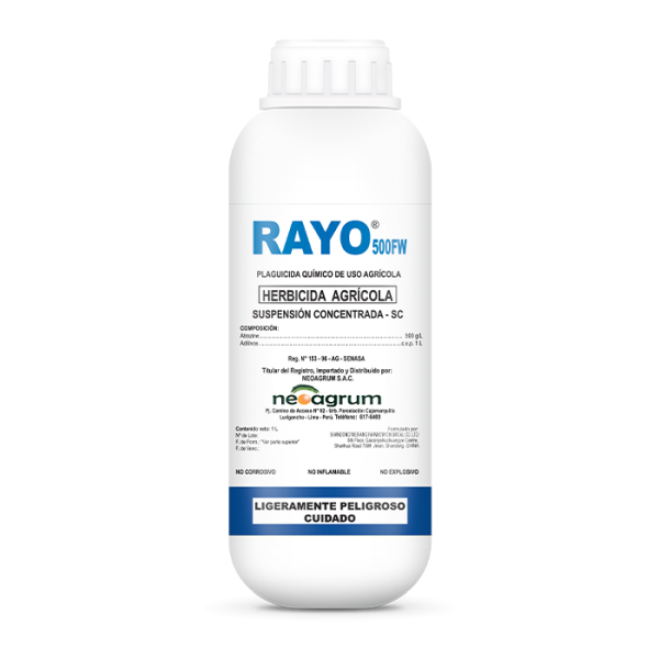 Rayo