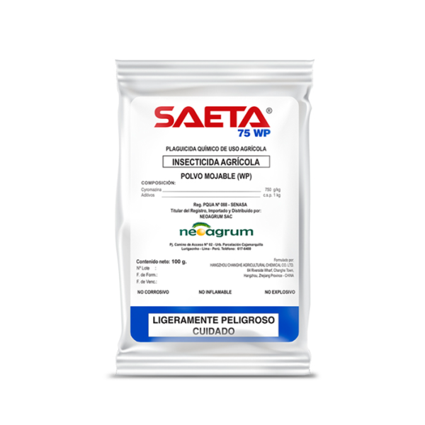 Saeta